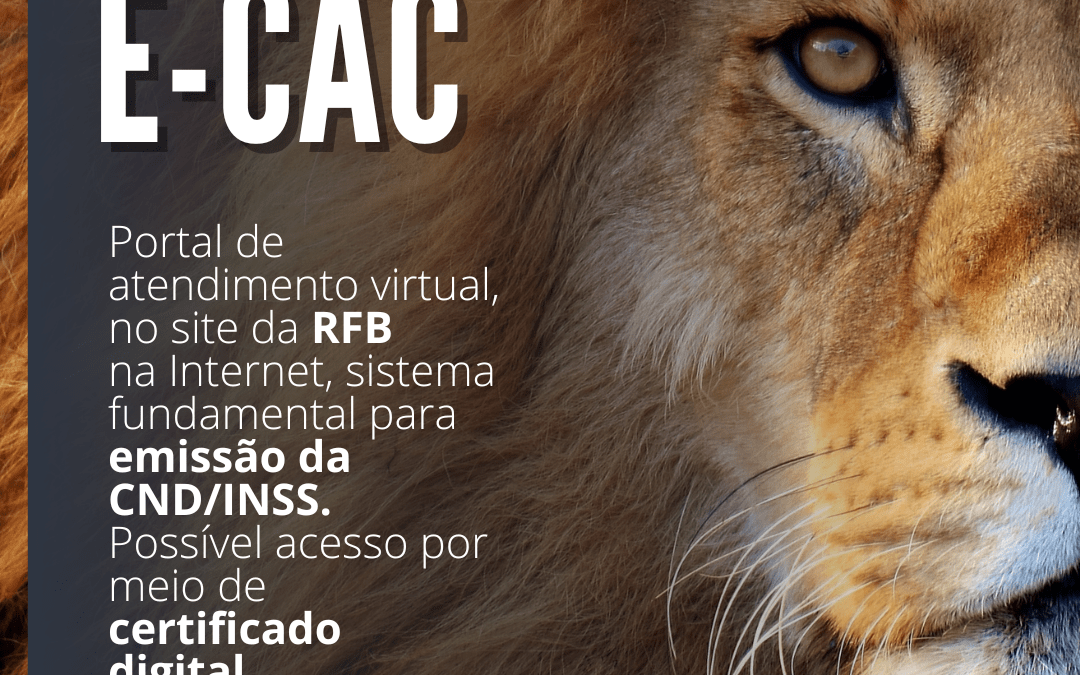 Já conhece o E-CAC?